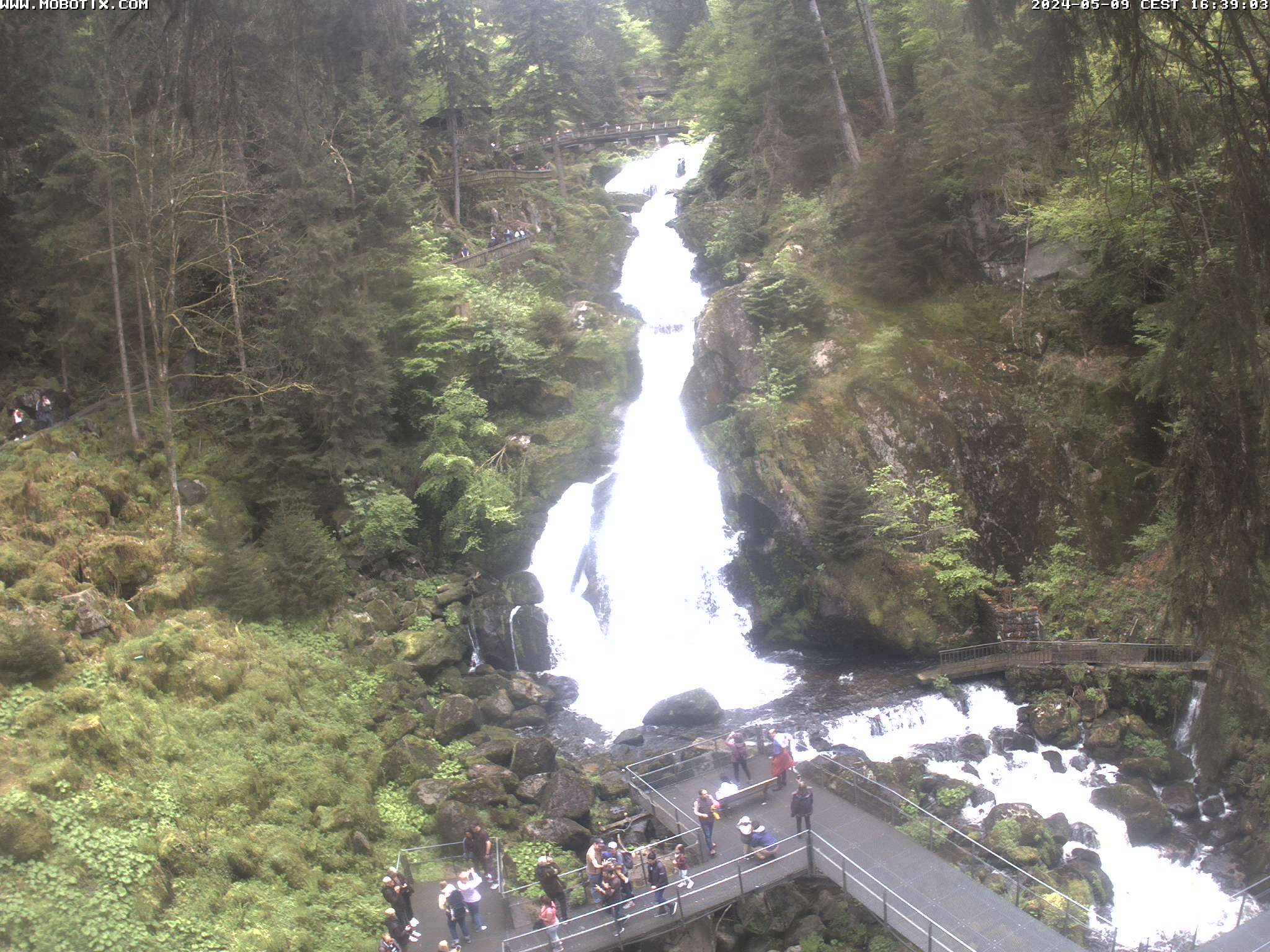 Webcam Triberger Wasserfälle