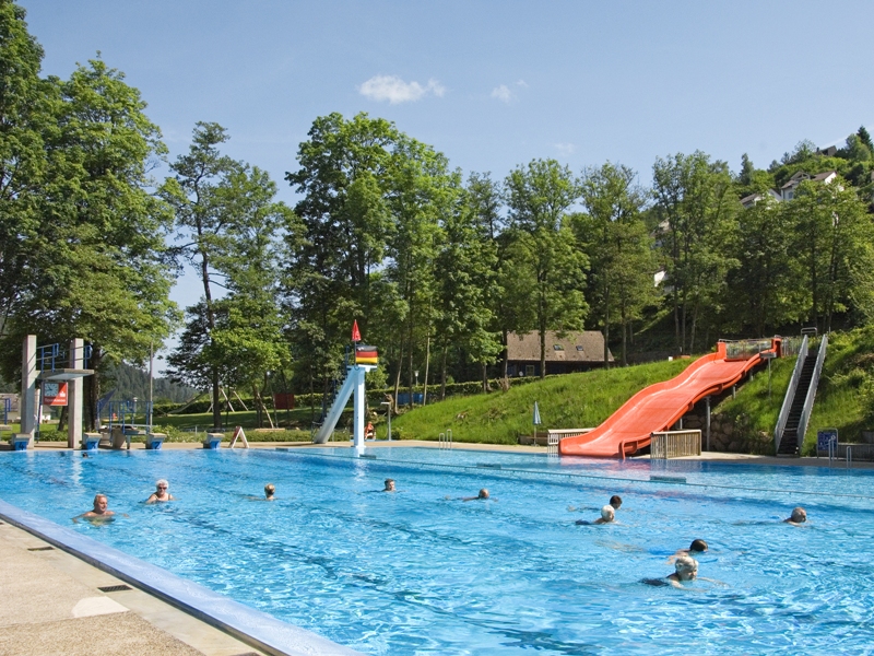 Pool with wide wave slide