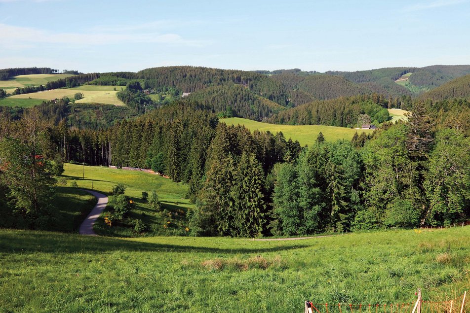 Landschaftsbild Retsche