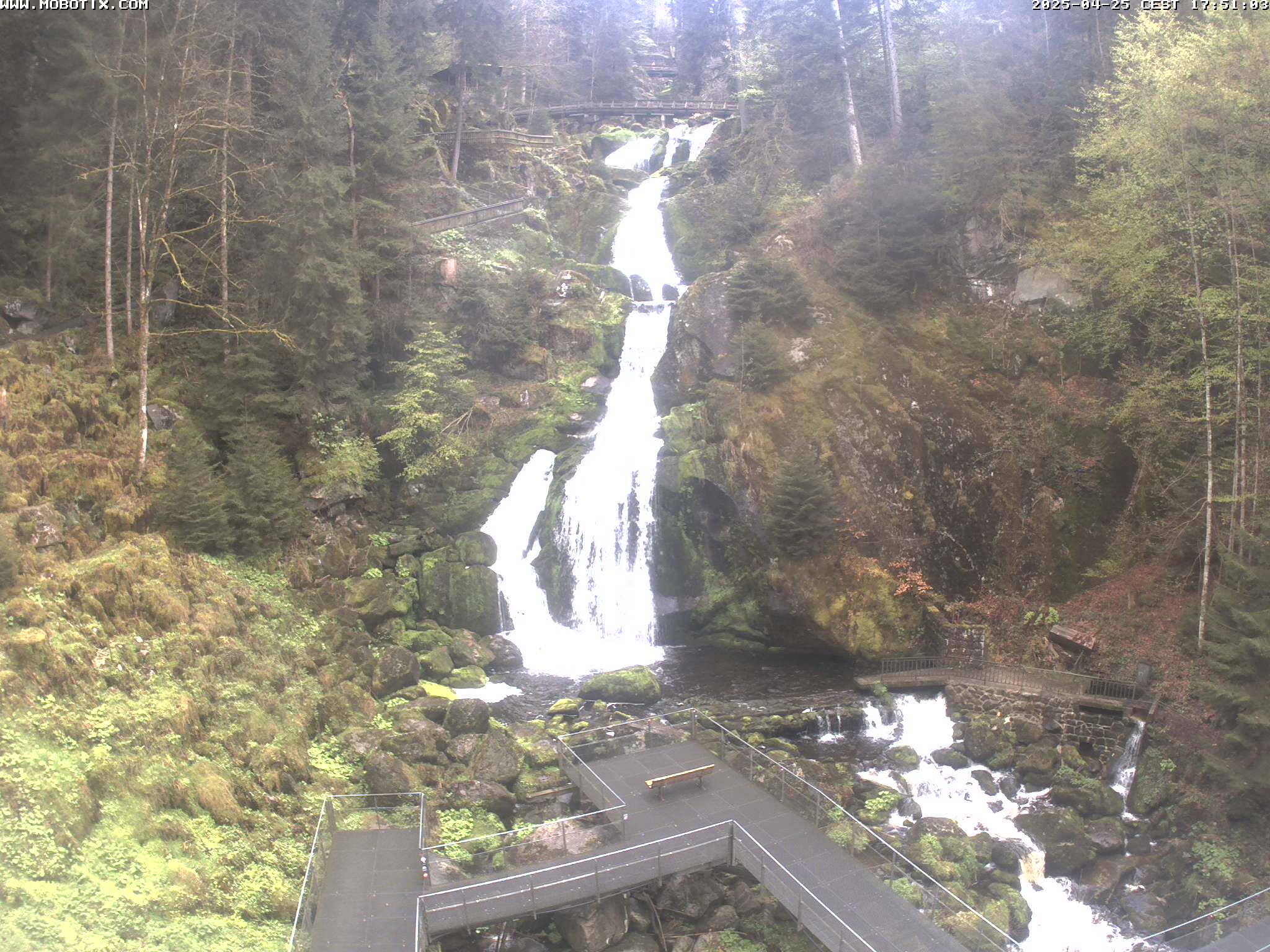 Triberger Wasserfall, Schww. / Deutschland